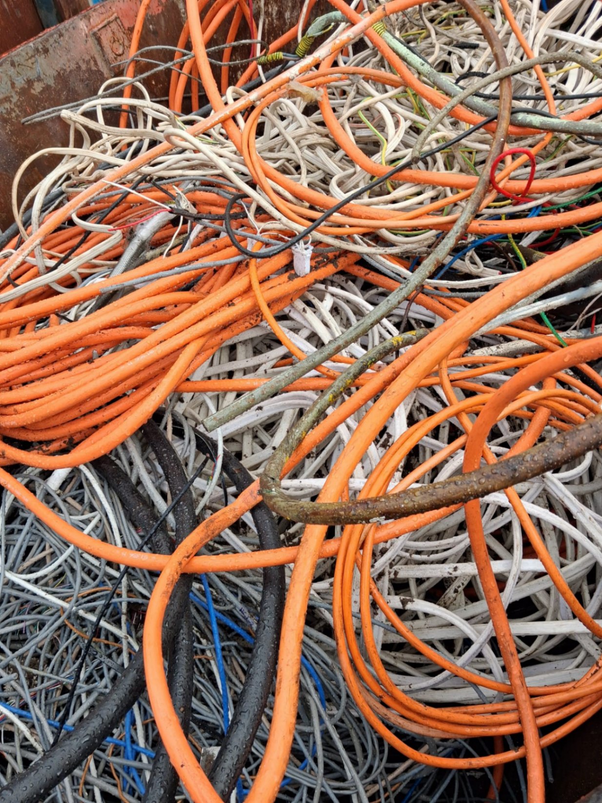Insulated cable